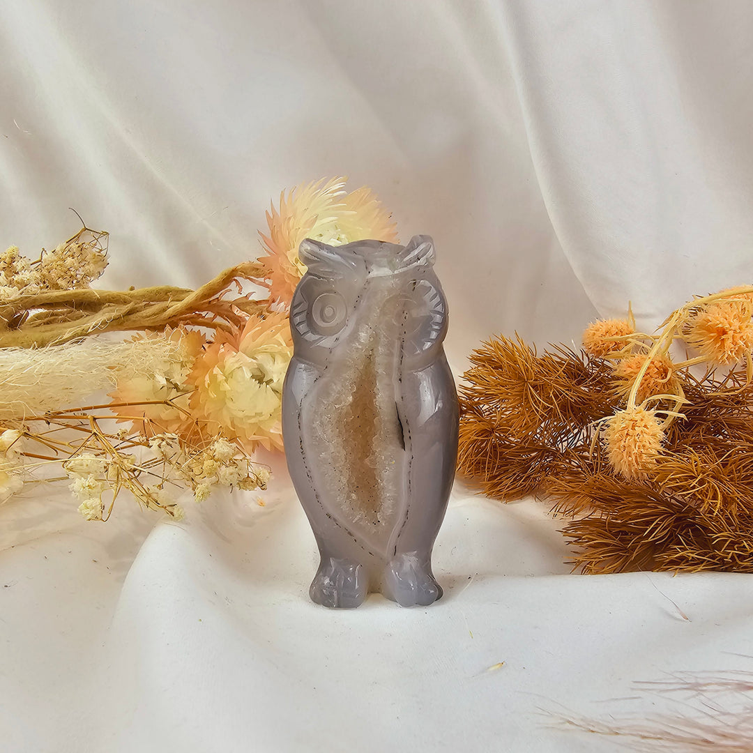 Agate Druzy Owl