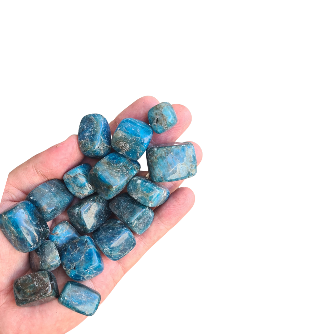 Blue Apatite Tumbleds